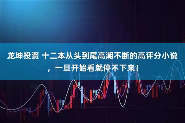 龙坤投资 十二本从头到尾高潮不断的高评分小说，一旦开始看就停不下来！