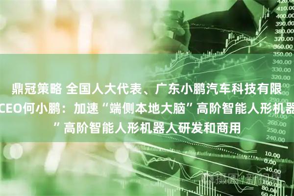 鼎冠策略 全国人大代表、广东小鹏汽车科技有限公司董事长兼CEO何小鹏：加速“端侧本地大脑”高阶智能人形机器人研发和商用