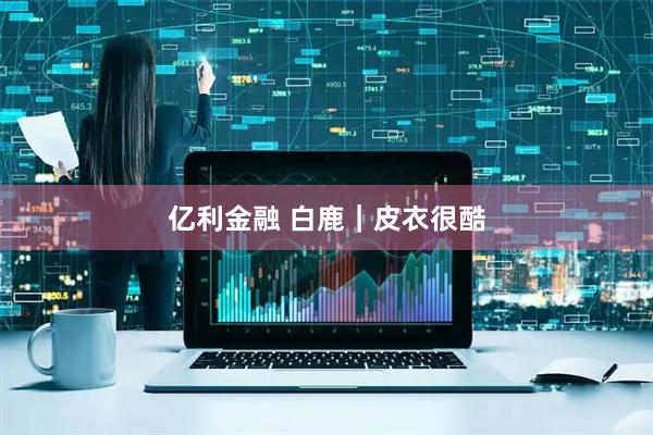 亿利金融 白鹿｜皮衣很酷