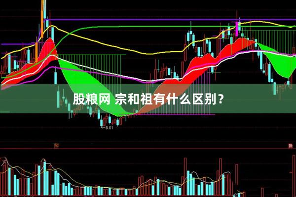股粮网 宗和祖有什么区别？