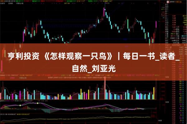 亨利投资 《怎样观察一只鸟》｜每日一书_读者_自然_刘亚光