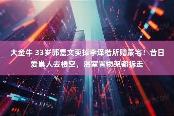 大金牛 33岁郭嘉文卖掉李泽楷所赠豪宅！昔日爱巢人去楼空，浴室置物架都拆走