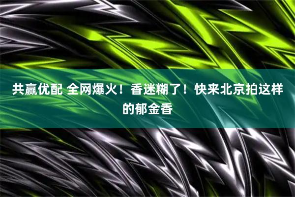 共赢优配 全网爆火！香迷糊了！快来北京拍这样的郁金香